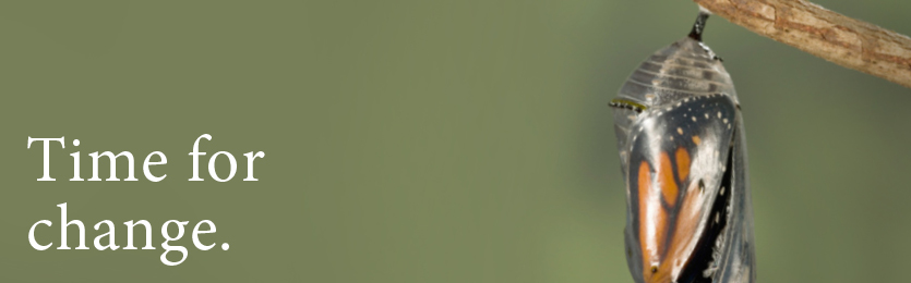 MonarchBanner_TimeForChange